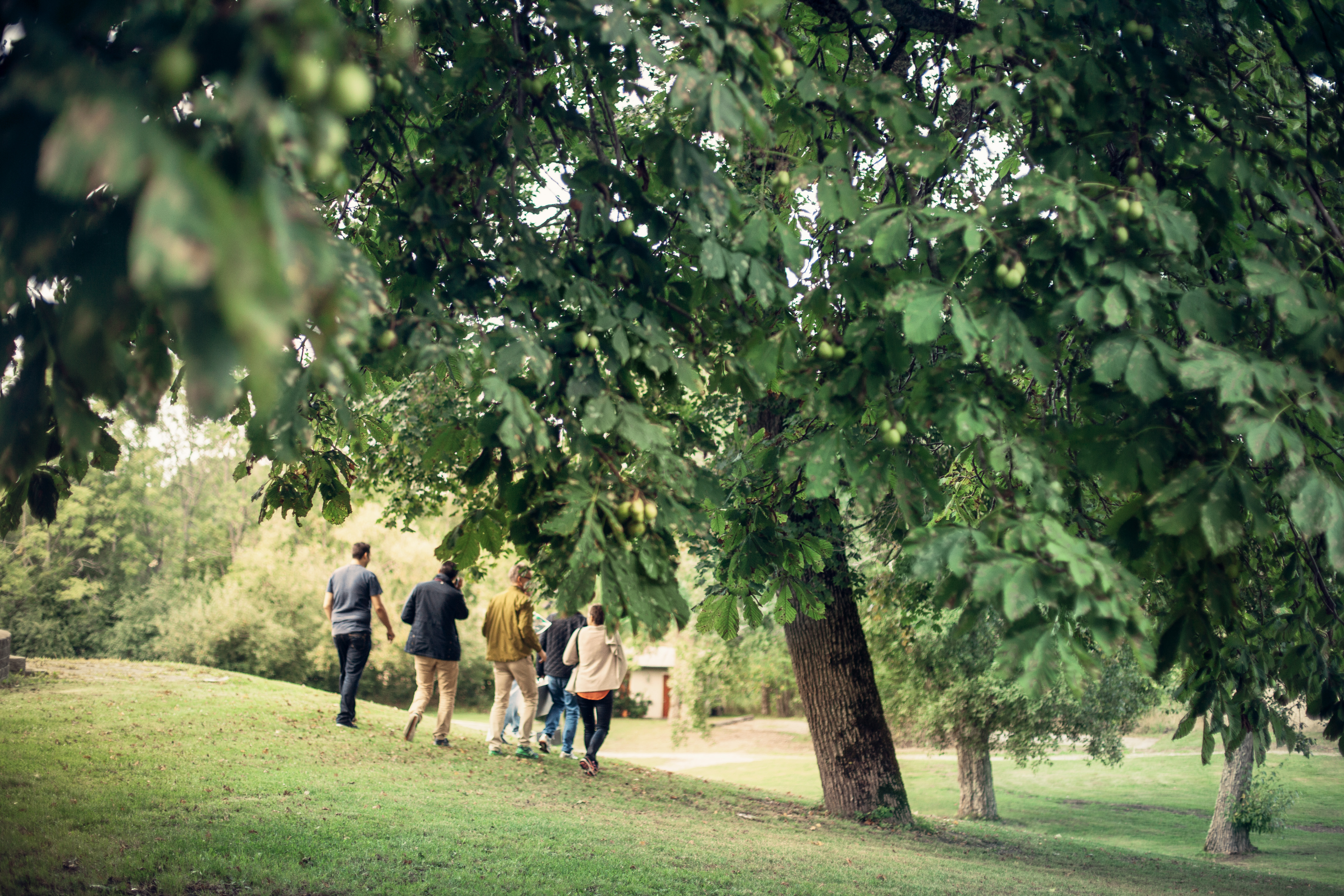 En grupp människor går bland träden i Villa Askes park